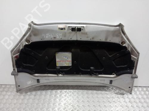 Hood FIAT DOBLO Box Body/MPV (223_) 1.3 D Multijet | BP19524549C1 
