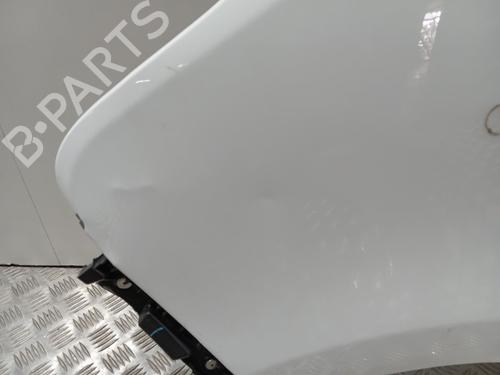 Left front fenders RENAULT TRAFIC III Van (FG_)  | BP21004176C41 