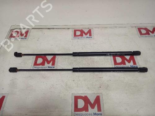 Tailgate lift support BMW X5 (E70) 3.0 d BP14129933C138