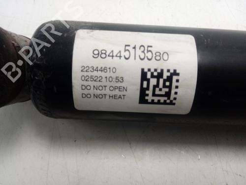 Left rear shock absorber PEUGEOT 308 III (FB_, FH_, FP_, F3_, FM_)  | BP16580388M18 