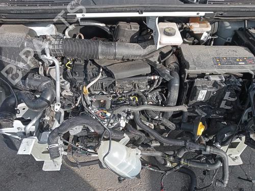 Griglia RENAULT TRAFIC III Van (FG_)  | BP30926725C40 