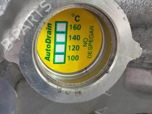 Engine DACIA SANDERO III  | BP25913811M1 