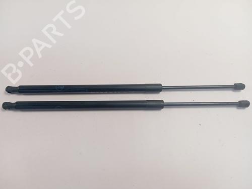 tailgate-lift-support-ford-kuga-iii-dfk-2019-36263174 main image