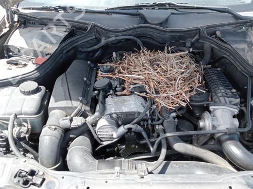 Startmotor MERCEDES-BENZ C-CLASS Coupe (CL203)  | BP22315503M8 