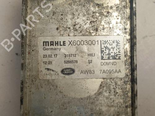 Other LAND ROVER DISCOVERY V (L462) 3.0 Td6 4x4 | BP22602596O1 