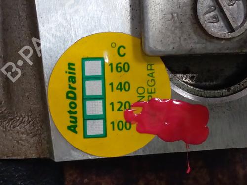 Engine NISSAN NT400 CABSTAR (F24M)  | BP30914459M1 