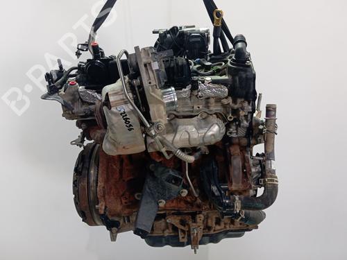 Engine FORD TRANSIT V363 Bus (FAD, FBD)  | BP33336973M1  - Image 8