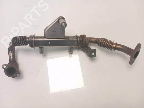 Used Egr NISSAN PATHFINDER III (R51) [2005-2025]  20597481