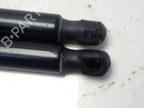 Tailgate lift support CITROËN C4 Picasso II  | BP14133648C138 