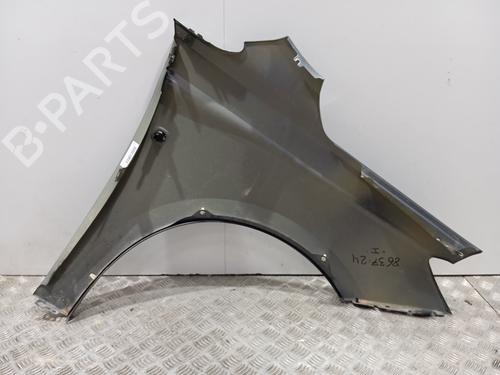 Left front fenders FORD TOURNEO CONNECT / GRAND TOURNEO CONNECT V761 MPV (SK)  | BP29062649C41 