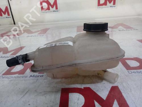 Ekspansjonstank FORD FOCUS C-MAX (DM2)  | BP17809063C120 