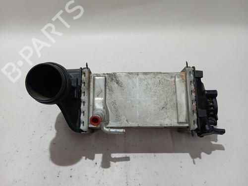 Used Intercooler VW T-CROSS (C11, D31) [2018-2025]  28042986