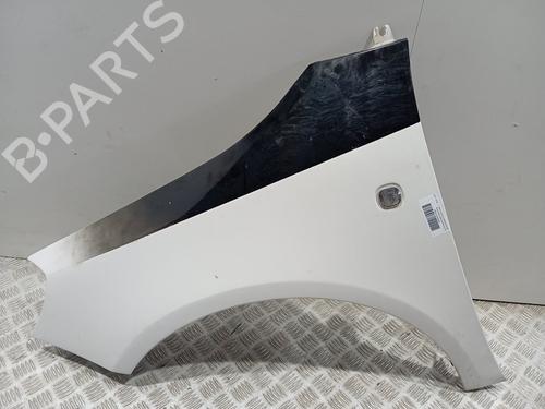 Used Left front fenders SKODA ROOMSTER (5J7) [2006-2015]  31679865