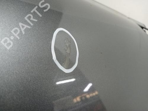 Right front door MINI MINI CLUBMAN (R55) Cooper S | BP17460413C3 