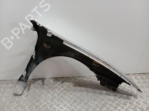 Left front fenders SEAT LEON (1M1)  | BP26187480C41 