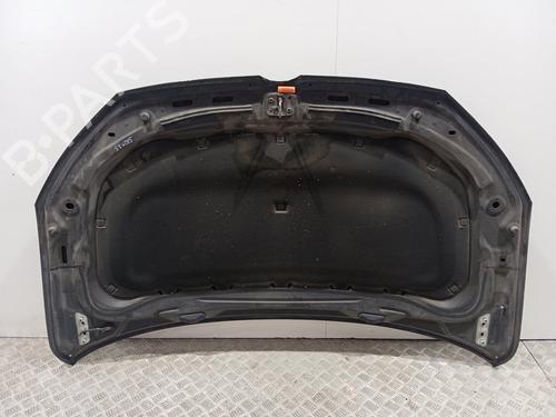 Hood VW TOURAN (1T1, 1T2) 1.9 TDI | BP29002574C1 