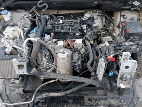 Rat CITROËN BERLINGO Box Body/MPV (K9) | BP29290926C49