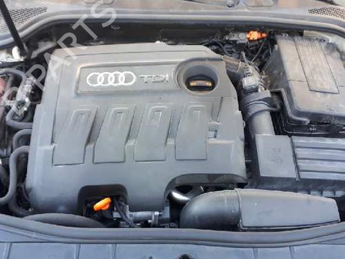 Rear left panel AUDI A3 Sportback (8PA) | BP13553845C60