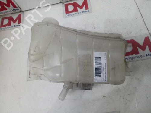 Used Expansion tank RENAULT KANGOO / GRAND KANGOO II (KW0/1_) [2008-2025]  16720400