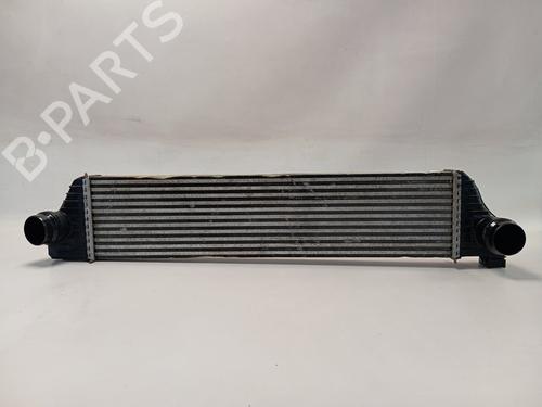 Intercooler NISSAN NV400 Van (X62, X62B) [2011-2025]  28030951