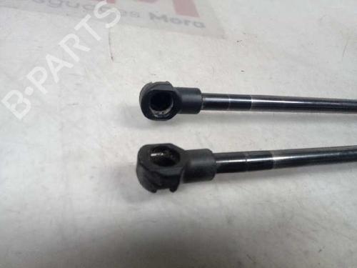Tailgate lift support BMW 1 (E87) 116 d | BP14129496C138