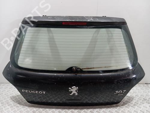 tailgate-peugeot-307-3ac-2000-2001-2002-2003-2004-2005-2006-2007-2008-2009-2010-2011-2012-33460696 main image
