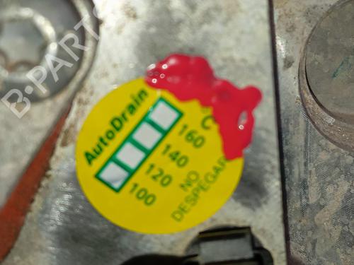 Engine RENAULT KANGOO / GRAND KANGOO II (KW0/1_)  | BP32294317M1 