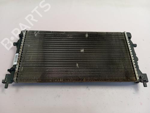 Used Water radiator SEAT IBIZA IV (6J5, 6P1) [2008-2017]  30375931