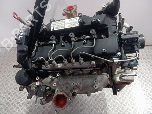 Engine SSANGYONG MUSSO (QK) | BP33334537M1 - Image 10