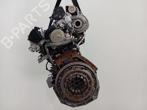 Engine RENAULT KANGOO III MPV | BP31013253M1