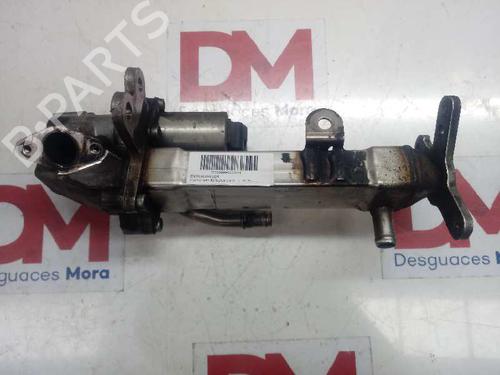 Used Egr VOLVO S80 I (184) D5 (163 hp) 14130904