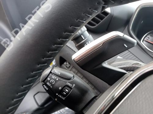 Front left wheel arch trim PEUGEOT 2008 II (UD_, US_, UY_, UJ_, UR_, UC_)  | BP29723830C134 