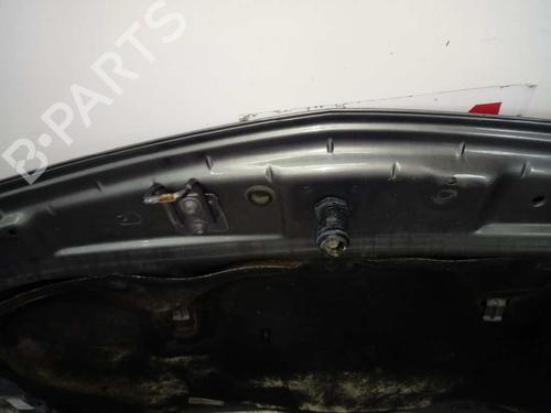 Hood RENAULT MEGANE II (BM0/1_, CM0/1_)  | BP12654395C1 