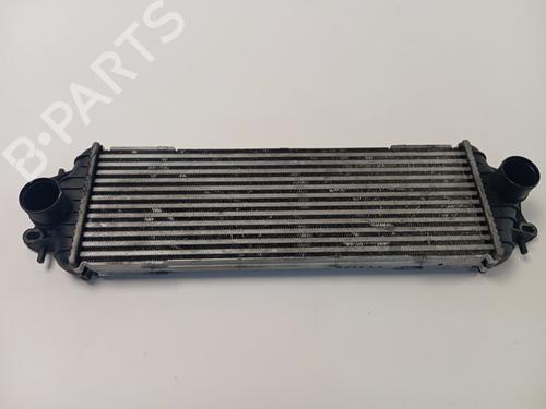 Used Intercooler NISSAN PRIMASTAR Van (X83) 1.9 dCi 100 (100 hp) 29070737