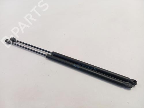 tailgate-lift-support-citroen-c4-picasso-i-mpv-ud_-2006-2007-2008-2009-2010-2011-2012-2013-2014-2015-39147547 main image