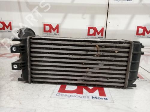 Intercooler CITROËN C4 II (NC_)  | BP12669694M30 