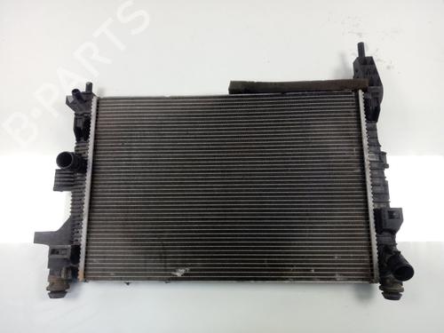 Water radiator FORD TRANSIT CONNECT V408 Box Body/MPV  | BP17905620M31 