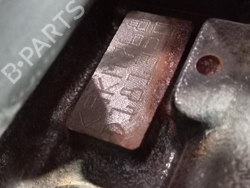 Engine RENAULT CLIO III (BR0/1, CR0/1)  | BP29536428M1 