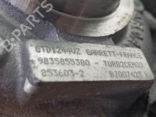 Engine PEUGEOT RIFTER | BP31987708M1