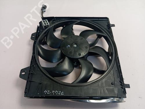Used Radiator fan PEUGEOT 2008 II (UD_, US_, UY_, UJ_, UR_, UC_) [2019-2025]  29359005