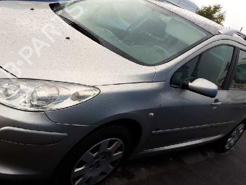 Rear left panel PEUGEOT 307 Break (3E) 1.6 HDi 110 | BP12838804C60 