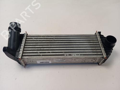 Used Intercooler RENAULT KANGOO / GRAND KANGOO II (KW0/1_) [2008-2025]  28138878
