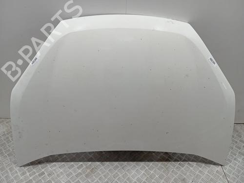 hood-fiat-doblo-cargo-263_-2010-30940930 main image