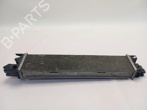 Intercooler RENAULT TRAFIC III Van (FG_) | BP32504961M30