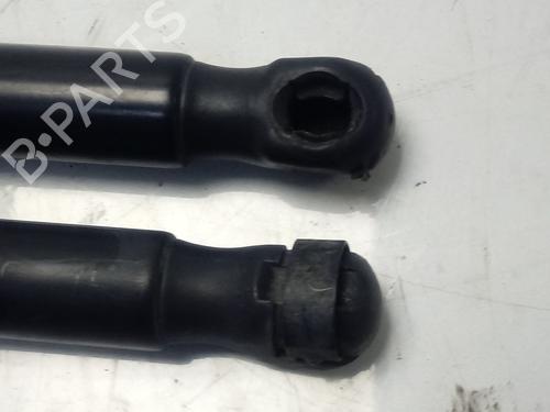 Hood lift support LAND ROVER RANGE ROVER EVOQUE (L538)  | BP14133430C139 