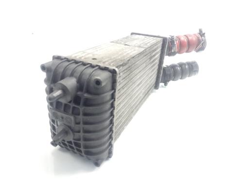 Intercooler CITROËN XSARA PICASSO (N68)  | BP19167389M30 