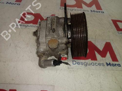 Steering pump LAND ROVER RANGE ROVER SPORT I (L320)  | BP12665189M99 