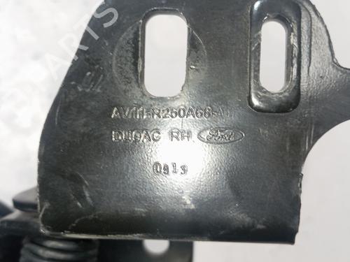 Hinge/Door check strap FORD B-MAX (JK) 1.0 EcoBoost | BP31947517C146