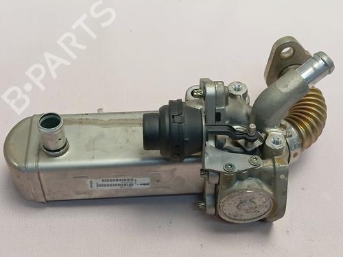 Used Egr NISSAN NT400 CABSTAR (F24M) [2009-2026]  31014365