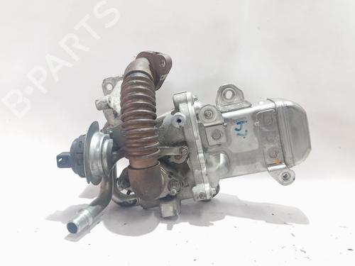 Used Egr NISSAN INTERSTAR Van (X62B) [2021-2026]  31947528
